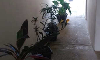 Imagem 7: Casa confortável, espaçosa e sem burocracia. Teixeira de Freitas, BA R$750,00