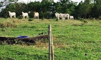 Imagem 7: INOCÊNCIA - RURAL - Zona Rural