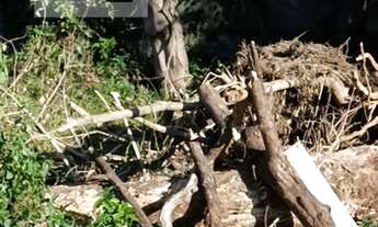 Imagem 6: RIO DE JANEIRO - Loteamento/Condomínio - VARGEM GRANDE