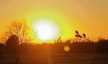 Imagem 6: Venda de casa Casa com 3 dormitórios