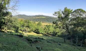 Imagem 4: Sitio - São Francisco de Paula / RS