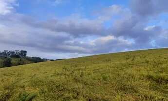 Imagem 5: Fazenda palmeiras
