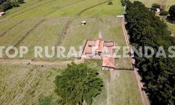 Imagem 5: Fazenda 135 Alqueires, Região de Avare-Sp