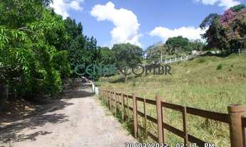 Imagem 5: LINDA FAZENDA/HARAS DE 54 HA COM ÓTIMA LOCALIZAÇÃO