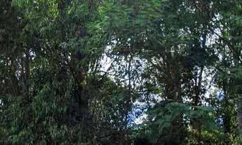 Imagem 4: Ótima oportunidade! Lote com localização privilegiada em condomínio fechado!!