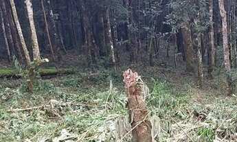 Imagem 3: Terreno 1053 metros Parque Pedra do Bau