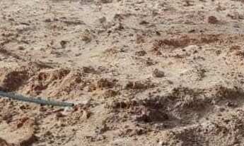 Imagem 3: Lote comercial na rua 2 da 26 de setembro