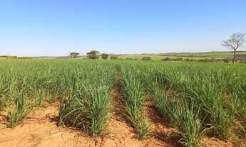 Imagem 2: Sítio 12,70 alqueires em Nhandeara