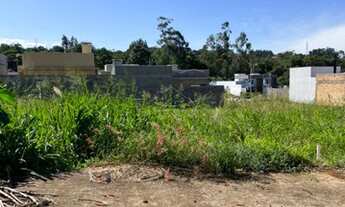 Imagem: Toledo - Lote/Terreno - Jardim Pancera