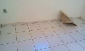 Imagem 4: CASA NA TERRA FIRME