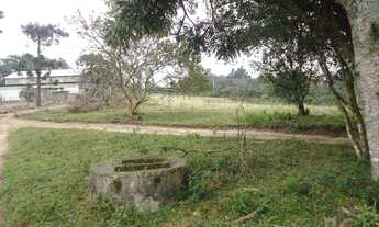 Imagem 5: Viamão - Terreno Padrão - Vila Augusta