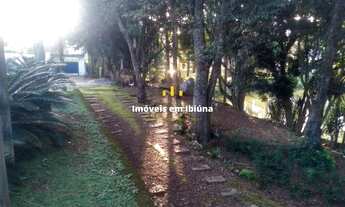 Imagem 4: Ibiúna - RURAL - Puris