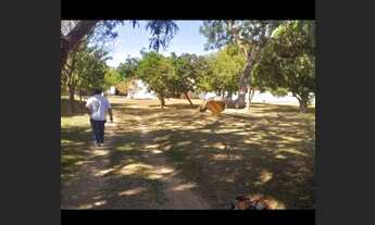 Imagem 3: Vendo casa condomínio quintas da alvorada df