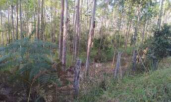 Imagem 2: Terreno em Coronel Xavier Chaves com 3.600mt2