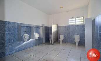 Imagem 5: São Paulo - Prédio Inteiro - Santo Amaro