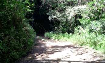 Imagem 3: 8 alqueires...Miracatú SP...oportunidade