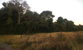 Imagem 5: Vendesse chácara com casa