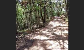 Imagem 2: Chácara na roseira