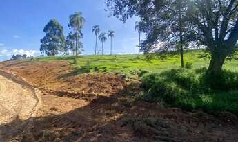 Imagem 5: Lote/Terreno para venda tem 1000 metros quadrados em Jardim Felicidade (Zona Norte) - São