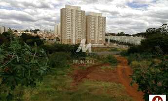 Imagem 3: Terreno (terreno normal