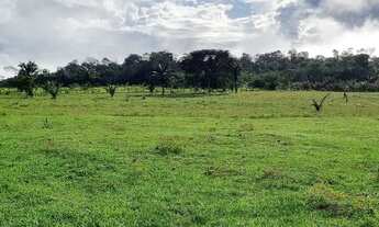 Imagem 3: FAZENDA PORTEIRA FECHADA NO CANTÁ