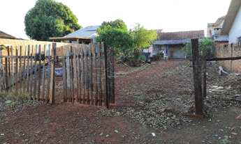 Imagem: Toledo - Lote/Terreno - Vila Pioneiro