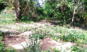 Imagem 3: Área rural com 10 hectares, plano, frente para Pi-112, a 20 km de Teresina!