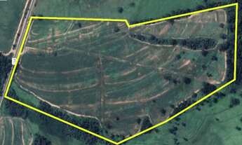 Imagem 3: Sítio 12,70 alqueires em Nhandeara