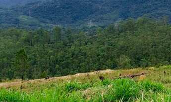 Imagem 2: Terreno 1000m² próximo a Guarulhos -SP
