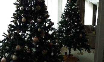 Imagem 4: Sobrado 3 dormitórios, suíte, 3 vagas de garagem 138 m²- Braga - São José dos Pinhais