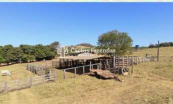 Imagem 3: Belíssima fazenda a 45 km de goiânia!
