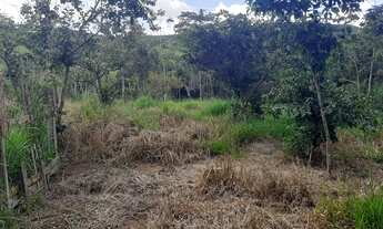 Imagem 4: Vendo 20 HEQUITARIOS de terra boa a 18 km da ponte JK