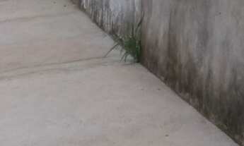 Imagem 3: Lote bem localizado, 100% murado sendo o muro bem alto, pronto par construir