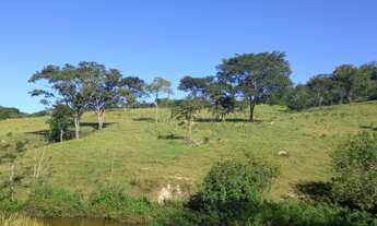 Imagem 2: 5 alqueires de terra