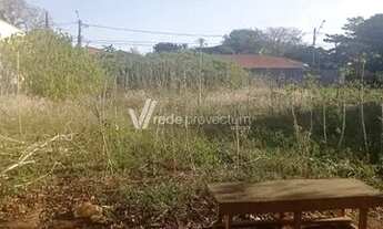 Imagem 3: Terreno - Bosque das Palmeiras - Campinas
