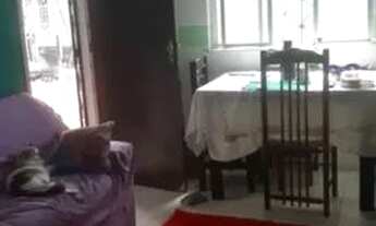 Imagem 2: Casa para venda possui 120 metros quadrados com 3 quartos em Cabanagem - Belém - Pará