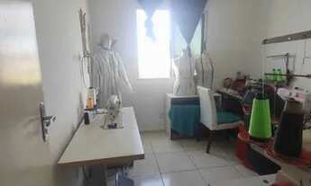 Imagem 4: Doce vida Primavera 63467