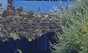 Imagem: Casa a venda