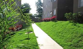 Imagem 5: Apartamento para venda possui 45 metros quadrados com 2 quartos em Parque Manchester - Sor