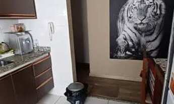 Imagem 7: Apartamento com 2 dormitórios à venda, 53 m² por R$ 230.000 - Santa Terezinha - São Bernar