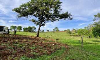Imagem 6: Chácara de 02 alqueires e 27 litros em Itauçu-GO