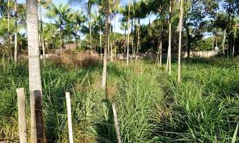 Imagem 6: Chacrinhas Rajadinha 2