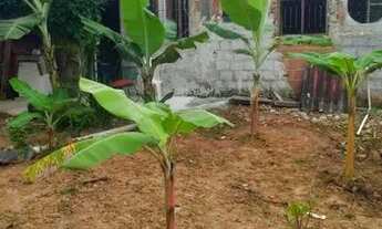 Imagem: Casa com terreno 45.000,00