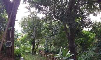 Imagem 3: FLORIANóPOLIS - Casa Padrão - Ribeirão da Ilha