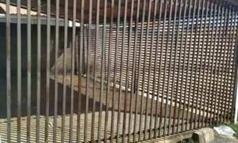 Imagem: Lindo Apartamento em Aguas LIndas