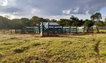 Imagem 3: Chácara de 02 alqueires e 27 litros em Itauçu-GO