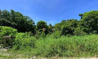 Imagem: MATINHOS - Terreno Padrão - Balneário