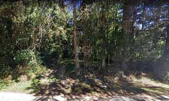 Imagem: Terreno para Venda - 4426.76m², 0 dormitórios