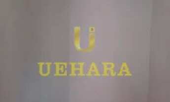 Imagem 7: CASA RESIDENCIAL em SÃO PAULO - SP, CASA VERDE MÉDIA