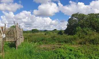 Imagem 2: Vendo ou toco por carro